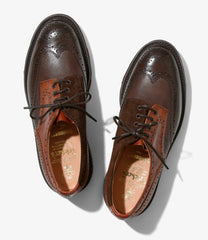 Multi Tone Brogue - Morflex Sole