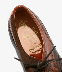 Multi Tone Brogue - Morflex Sole
