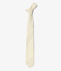 Neck Tie - 21W Corduroy Polka Dot Print